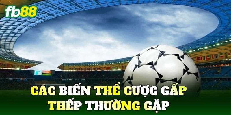 Cược Gấp Thếp Là Gì? Cách Vận Hành Trong Cá Cược FB88 2 Các biến thể Cược Gấp Thếp thường gặp trong thực chiến