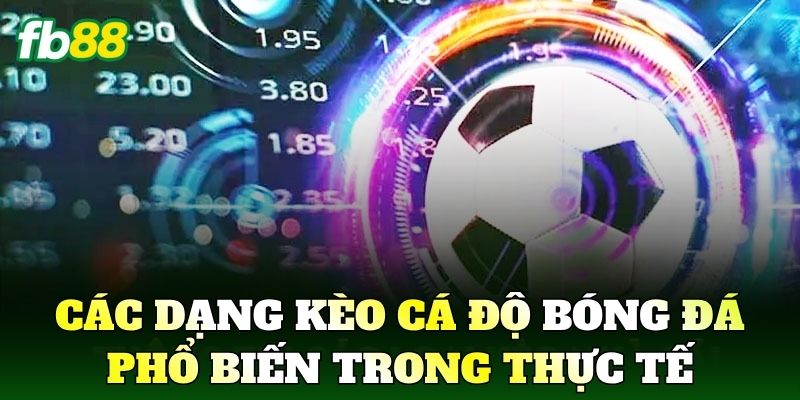 Cá Độ Bóng Đá FB88 Góc Nhìn Kèo Và Cách Chơi Hiệu Quả 2 Các dạng kèo cá độ bóng đá phổ biến trong thực tế