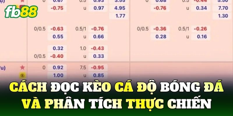Cá Độ Bóng Đá FB88 Góc Nhìn Kèo Và Cách Chơi Hiệu Quả 3 Cách đọc kèo cá độ bóng đá và phân tích thực chiến