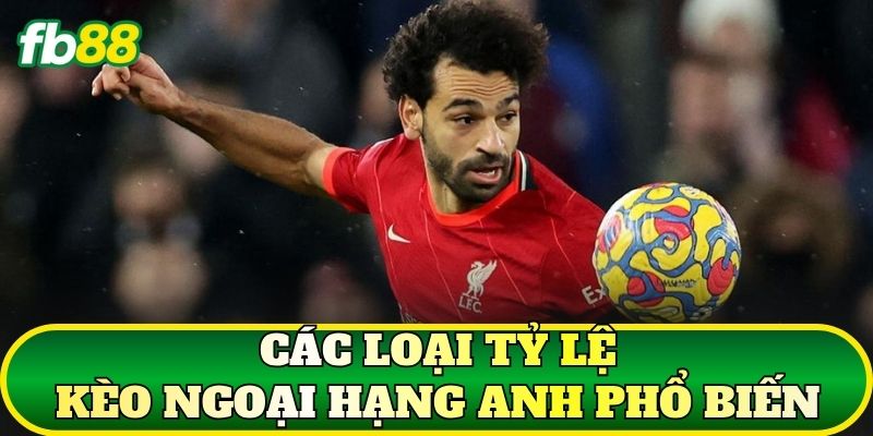 Tỷ Lệ Kèo Ngoại Hạng Anh Mới Nhất Và Cách Đọc Chuẩn 2 Các loại tỷ lệ kèo Ngoại Hạng Anh phổ biến