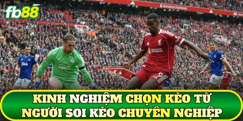 Kinh nghiệm chọn kèo từ người soi kèo chuyên nghiệp
