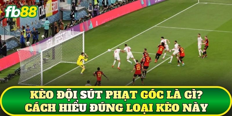 Kèo đội sút phạt góc là gì? Cách hiểu đúng loại kèo này