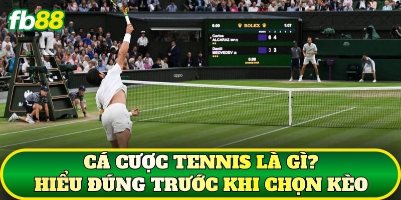 Cá cược Tennis là gì? Hiểu đúng trước khi chọn kèo
