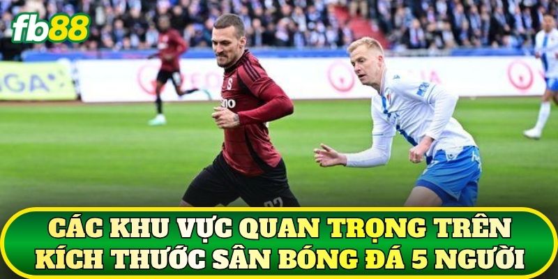 Các khu vực quan trọng trên kích thước sân bóng đá 5 người