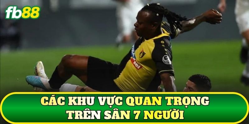 Các khu vực quan trọng trên sân 7 người