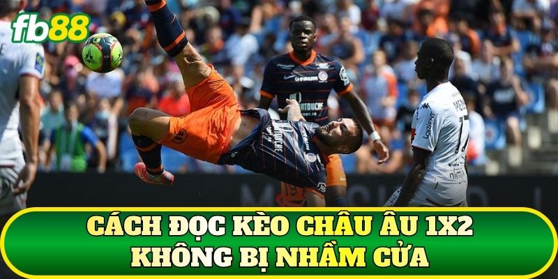 Cách Đọc Kèo Tại FB88: Hướng Dẫn Chọn Tỷ Lệ Kèo Bóng Đá 3 Cách đọc kèo châu Âu 1x2 không bị nhầm cửa