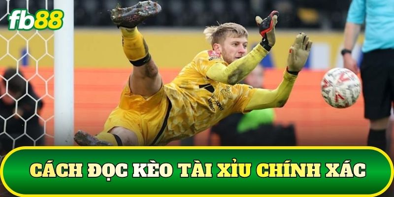 Cách Đọc Kèo Tại FB88: Hướng Dẫn Chọn Tỷ Lệ Kèo Bóng Đá 2 Cách đọc kèo tài xỉu chính xác