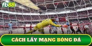 Cách Lấy Mạng Bóng Đá