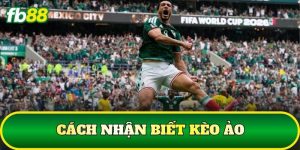 Cách Nhận Biết Kèo Ảo