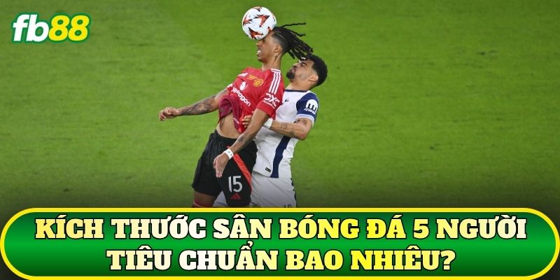 Kích thước sân bóng đá 5 người tiêu chuẩn bao nhiêu?