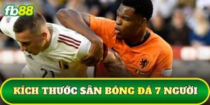 Kích Thước Sân Bóng Đá 7 Người
