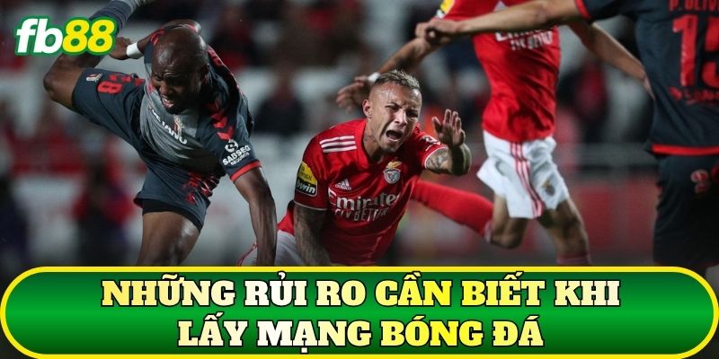 Cách Lấy Mạng Bóng Đá Và Ứng Dụng Khi Soi Kèo Từ FB88 3 Những rủi ro cần biết khi lấy mạng bóng đá